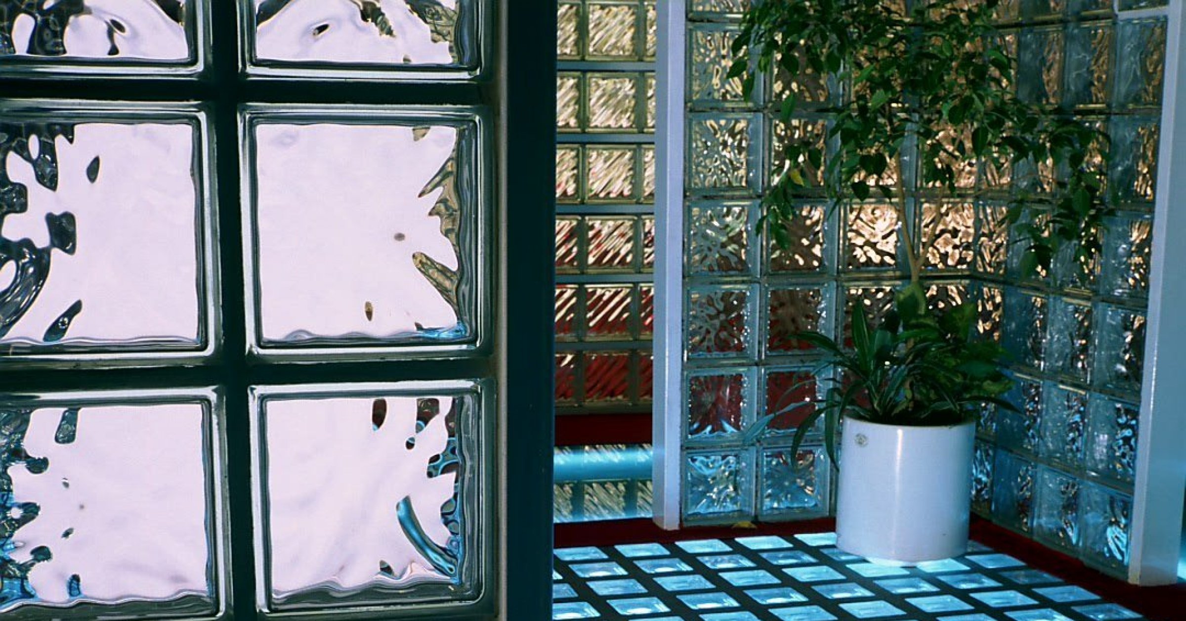 gallery/ambientevitro